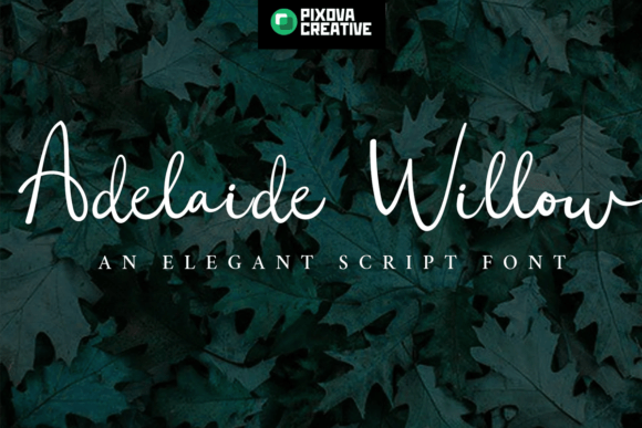 Adelaide Willow Font: A Graceful Script for Creative Makers