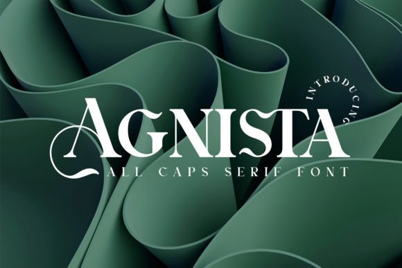 Agnista Font: A Designer’s Go-To Typeface for Polished Web Projects
