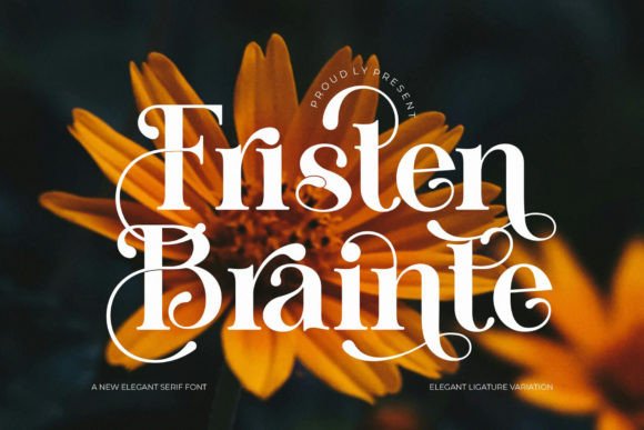 Fristen Brainte: A Minimalist Serif Font for Modern Branding