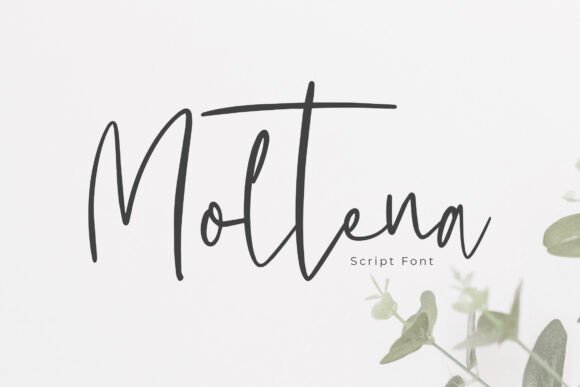 Moltena: The Handbrush Script Font That Elevates Your Campaigns