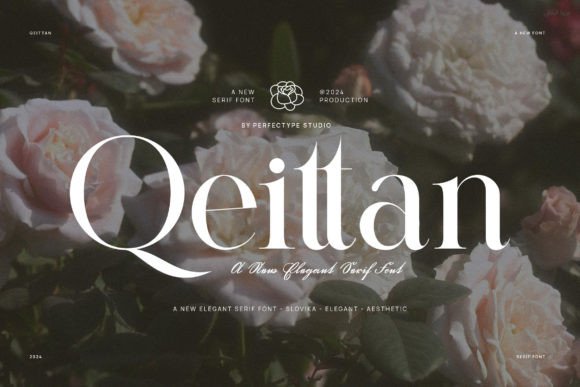 Qeittan Typeface: Elevating Brand Identity with Sophistication