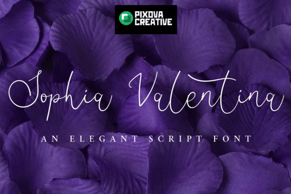 Sophia Valentina: A Script Font for Thoughtful Typography