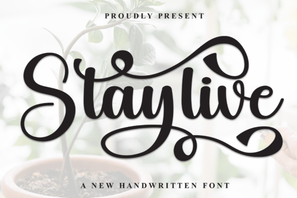 Staylive Font: A Simple Typography Choice That Elevates My Brand