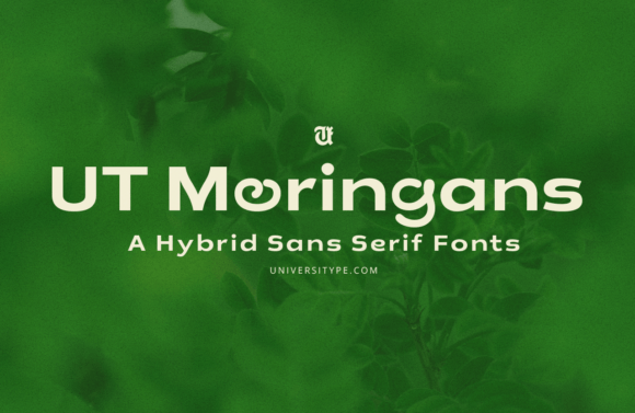 Ut Moringans: A Fresh Take on Sustainable Typography