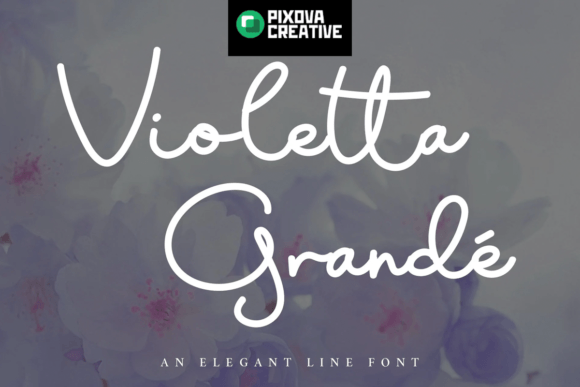 Violetta Grande: The Script Font That Elevates Your Campaign